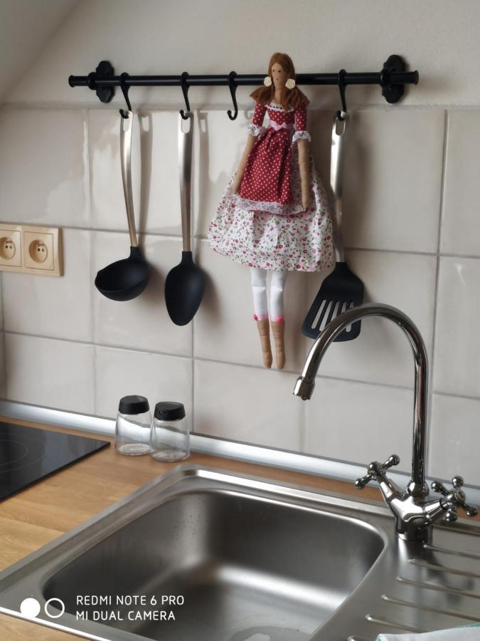 Ubytovani Ve Stodole Stráž nad Nežárkou Esterno foto