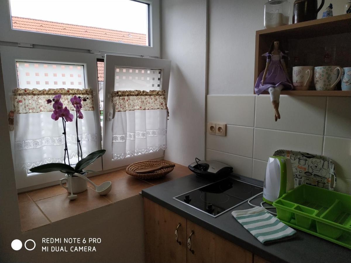 Ubytovani Ve Stodole Stráž nad Nežárkou Esterno foto